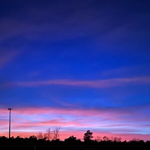 Meet your Posher, Lilly